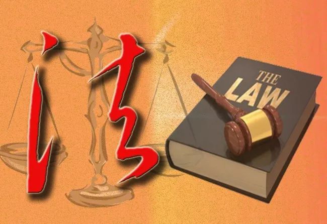 我與法律“零距離”——我校師生走進法庭庭審現場