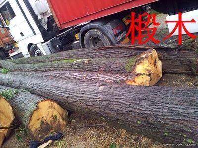 自營(yíng)與代理 進(jìn)出口貿(mào)易的雙重優(yōu)勢(shì)與實(shí)務(wù)要點(diǎn)